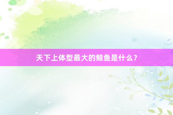 天下上体型最大的鲸鱼是什么？